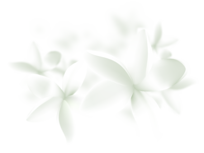 FreeVector-Plumeria-Illustration
